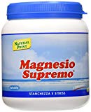 Natural Point Magnesio Supremo Solubile - 300 g, polvere